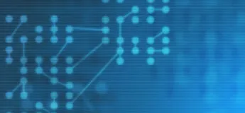 様々な言語やデータベースに対応
